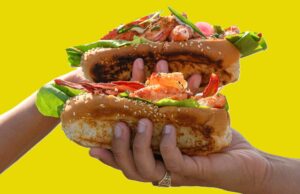 Nova Scotia Lobster – A World-Class Delicacy Nova Scotia Lobster