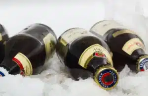 At What Temperature Does Beer Typically Freeze? Beer bottles on ice